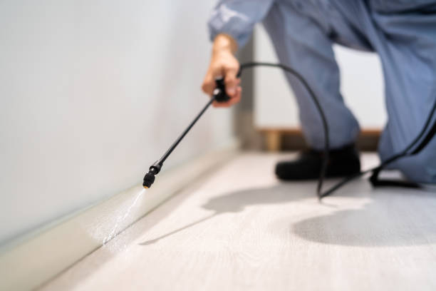 Licensed Pest Control service in Las Vegas, NM - Show Me Pest Control