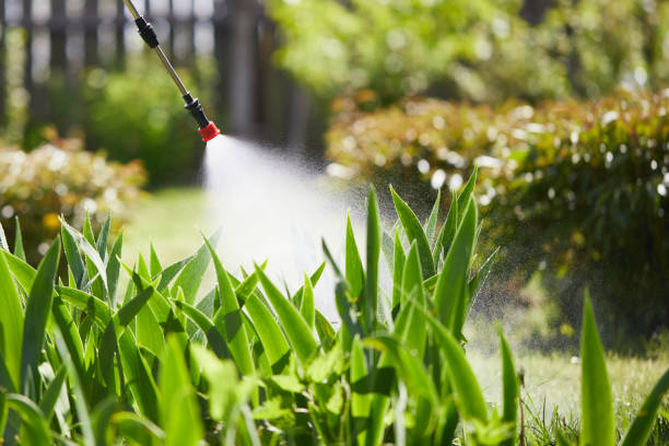 24/7 Emergency Mosquito Control experts in Las Vegas, NM