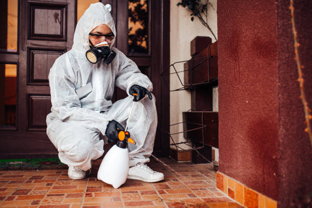 Reliable Mosquito Control contractor in Las Vegas, NM by Show Me Pest Control